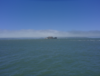 [샌프란시스코 여행] 4. 바다사자와 클램 차우더 스프