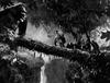 러셀 크로우가 "Kong : Skull Island" 라는 작품에 출연한다?