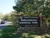 셰넌도어 국립공원 Shenandoah National Park