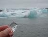 아이슬란드 ICELAND, 얼음 나라의 진짜 얼음