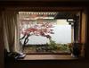 201511 경주2