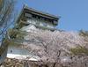 제5차 일본여행 4일차 (2) - 벚꽃과 고쿠라성