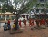 루앙프라방:새벽 거리의 화려한 승려들