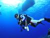 해저여행(Undersea Travel) 취재 안내중.