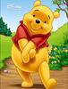 "Winnie The Pooh"의 실사 영화 감독이 결정 된 듯 합니다.