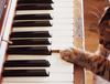 누구나 그럴듯하게 클래식 피아노 명곡을 연주할 수 있게 해주는 「Piano Flow」