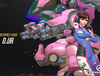 D.VA Reference Guide 