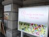 [일본여행] 오사카 교토 수제캔디가게 캔디쇼타임 교토 기온 Candy SHOW TIME Kyoto Gion