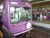 [일본여행] 오사카 교토 란덴열차, 벚꽃터널