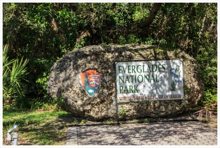 아열대성 습지대인 Everglades National Park : [미국일주 자동차 여행] - 54일째 - 1