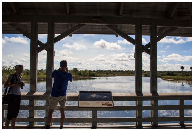 아열대성 습지대인 Everglades National Park : [미국일주 자동차 여행] - 54일째 - 1