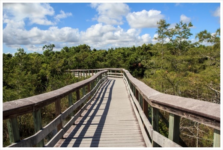 아열대성 습지대인 Everglades National Park : [미국일주 자동차 여행] - 54일째 - 1