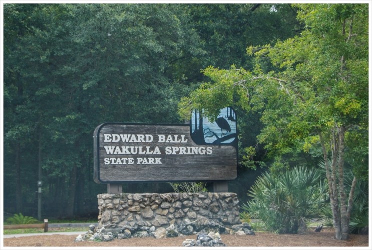 세계에서 가장 크고 깊은 민물 샘이 있는 Edward Ball Wakulla Springs State Park : [미국일주 자동차 여행] - 55일째 - 2