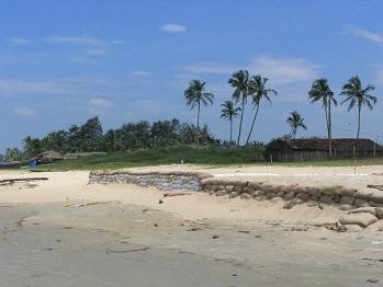 [인도] 인도에서 가장 핫한 해변도시, 고아 Goa