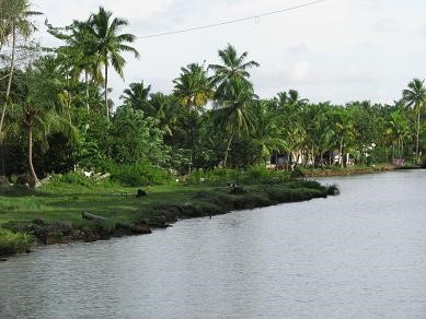 [인도] 알라뿌자->꼴람 수로유람 - The backwaters of Kerala