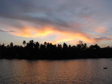 [인도] 알라뿌자->꼴람 수로유람 - The backwaters of Kerala