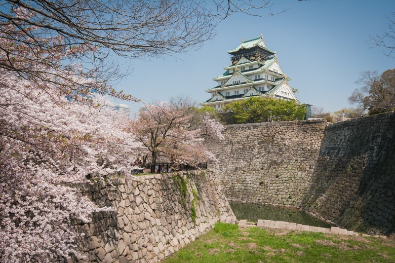 2018년 오사카 벚꽃 개화 시기 및 벚꽃 여행 추천 명소