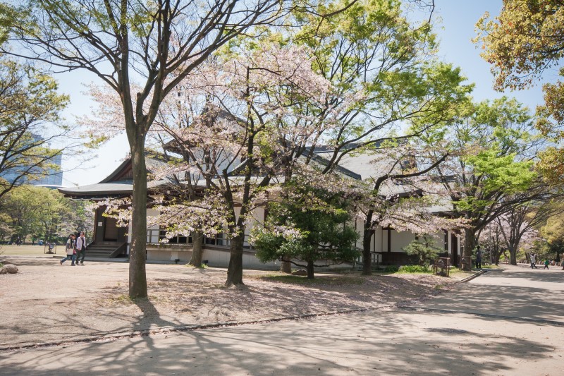 2018년 오사카 벚꽃 개화 시기 및 벚꽃 여행 추천 명소