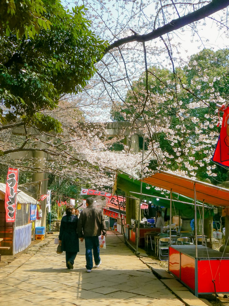 2018년 도쿄 벚꽃 개화 시기 및 추천 여행 명소 신주쿠 코엔