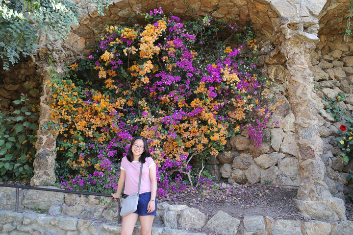 모자이크 도마뱀 조각으로 유명한, 가우디가 설계한 바르셀로나의 명소인 구엘 공원(Park Güell)