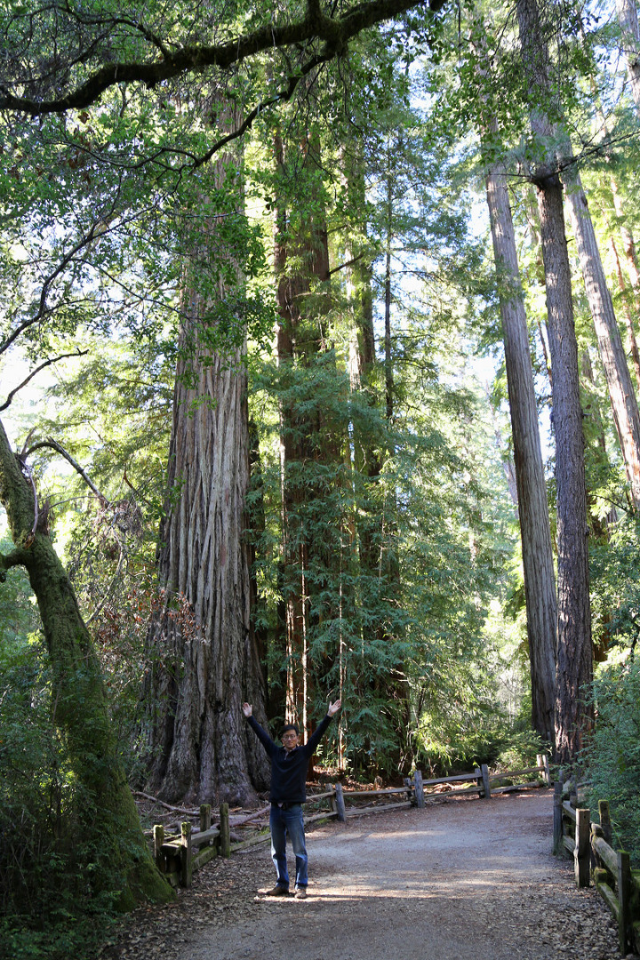 산호세 남서쪽 빅베이슨 레드우드(Big Basin Redwoods) 주립공원에서 만난 '숲의 아빠와 엄마'
