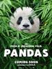 "Pandas" 라는 다큐멘터리 영화가 나오네요.