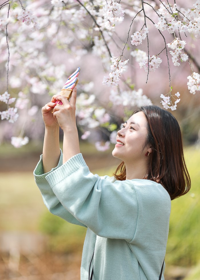 도쿄 자유여행 벚꽃 명소 추천!