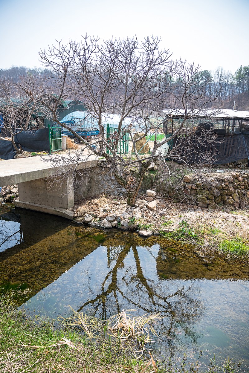 대구 가볼만한곳 봄 여행 떠나기 좋은 평광동 왕건길