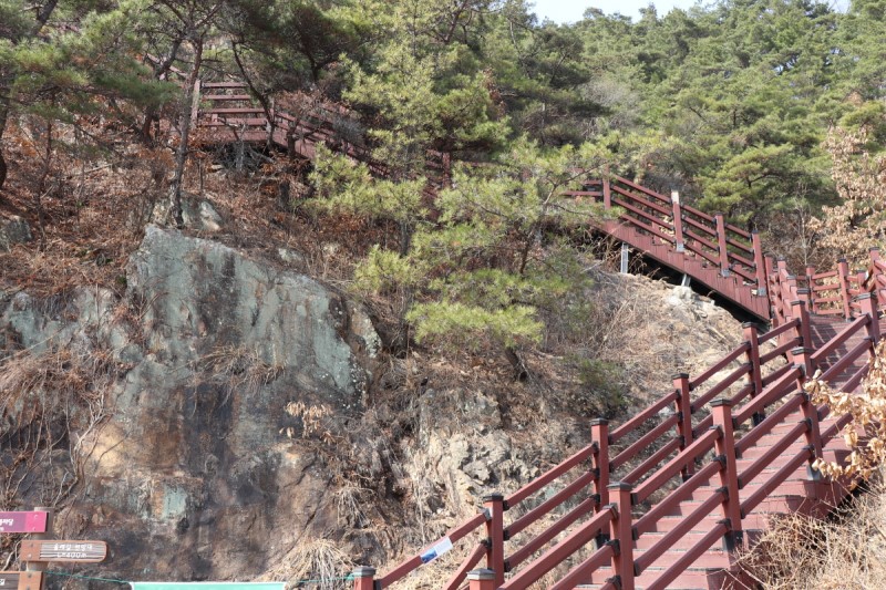 직접 다녀온 구미여행 솔직후기: 금오산 올레길, 아소코, 커피라운지, 올데이커피