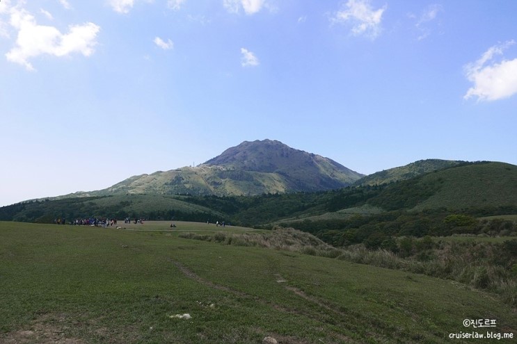 대만 택시투어 양명산 일일투어-칭티엔강,냉수항,양명산 카라축제 강추!!