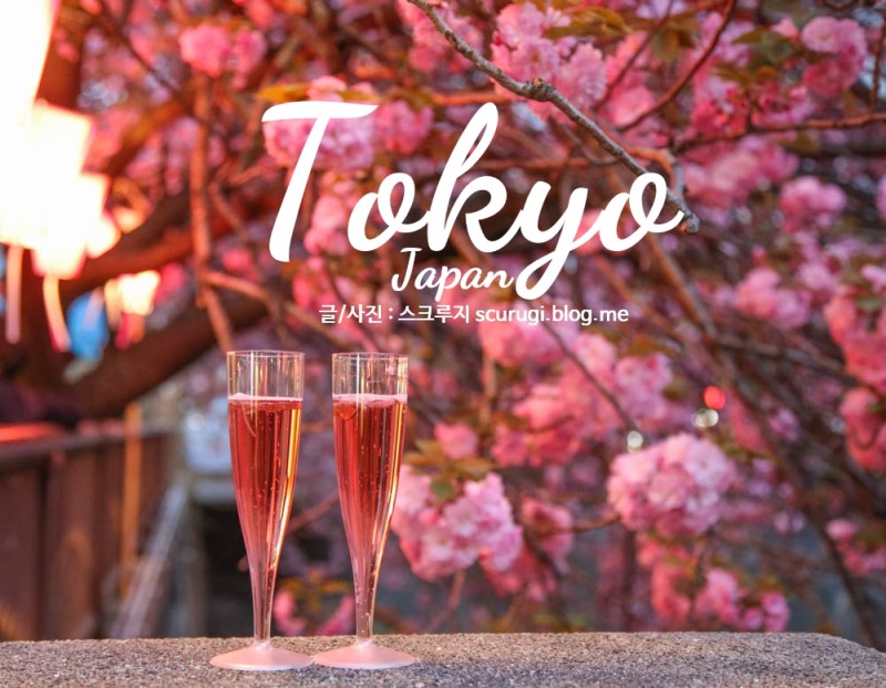 도쿄 자유여행 실시간 4월 도쿄날씨 옷차림