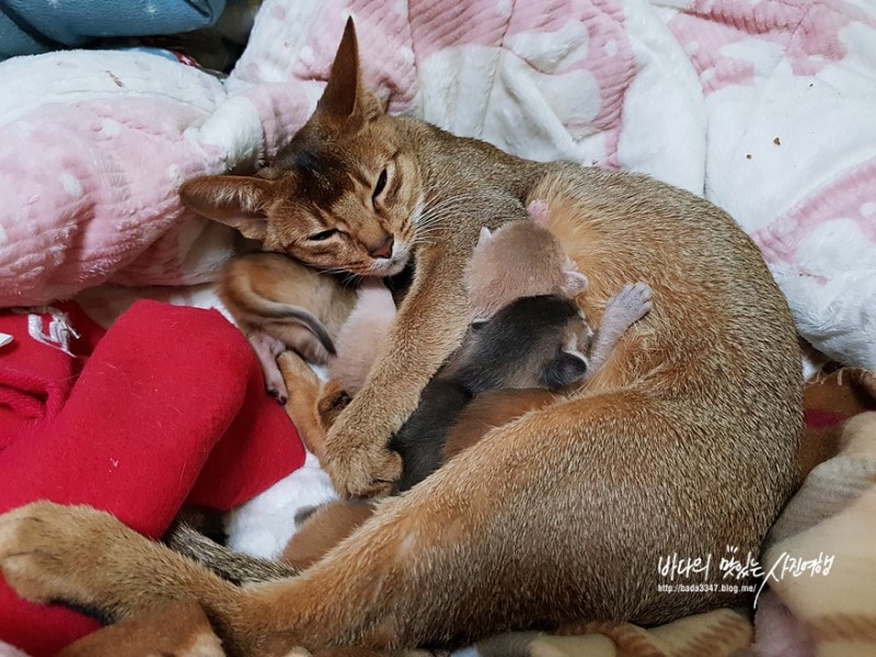 꼬물이 8일차, 무럭무럭 자라고 있어요