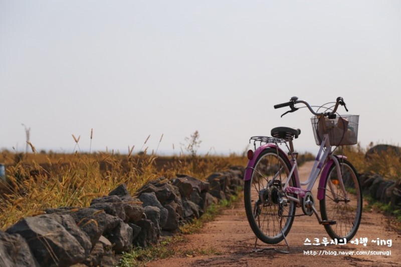 항공권예매, 제주도 항공권 예약하고 5월에 떠나기