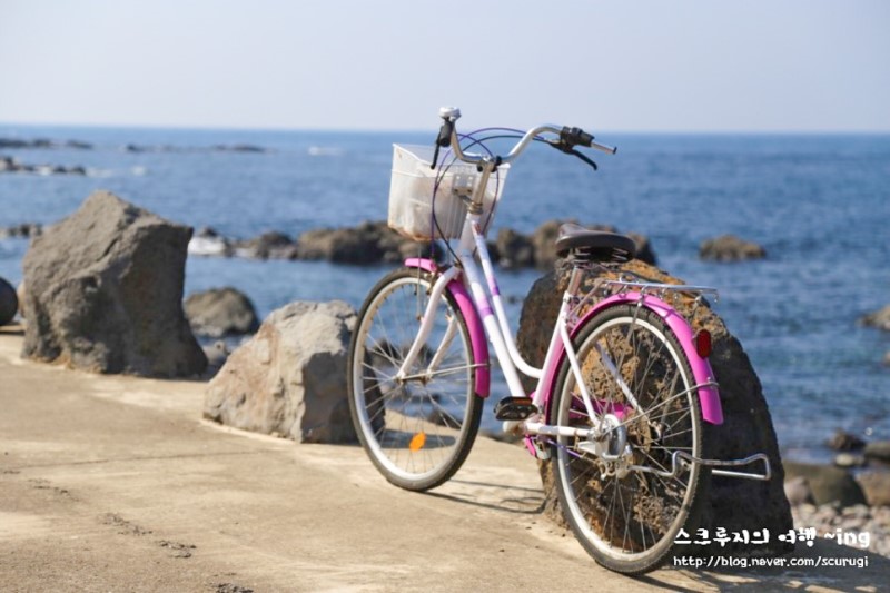 항공권예매, 제주도 항공권 예약하고 5월에 떠나기