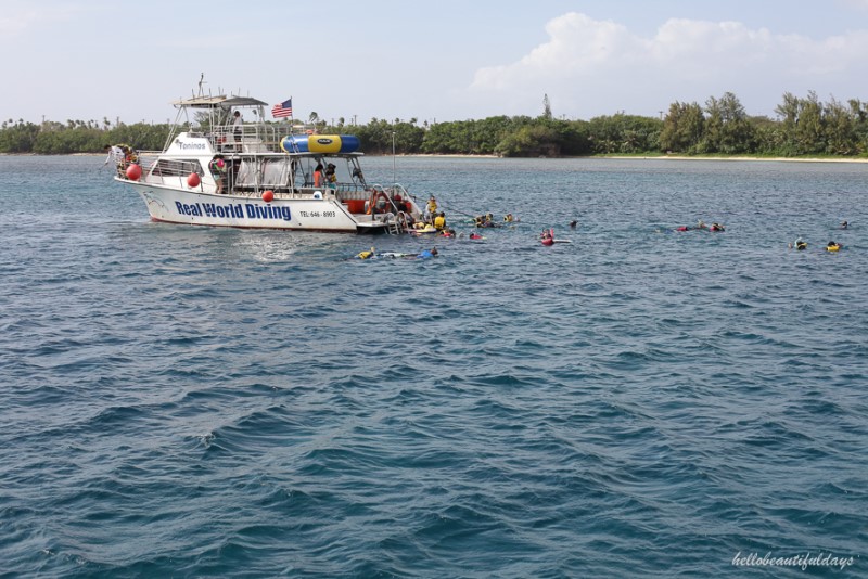 괌 자유여행 배틀트립 팀도 반한 돌핀투어