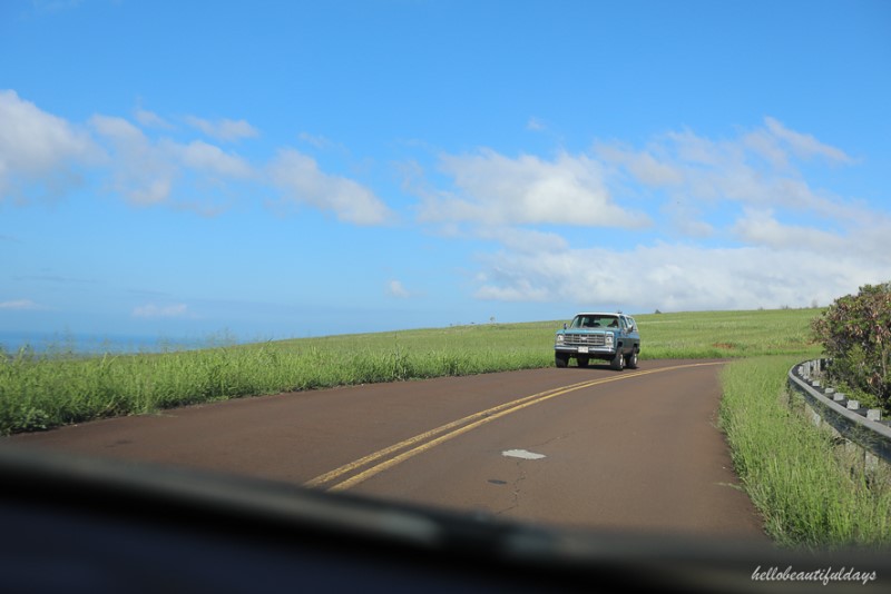 하와이 자유여행 성공적! 알라모렌터카 해외 렌터카 이용 TIP