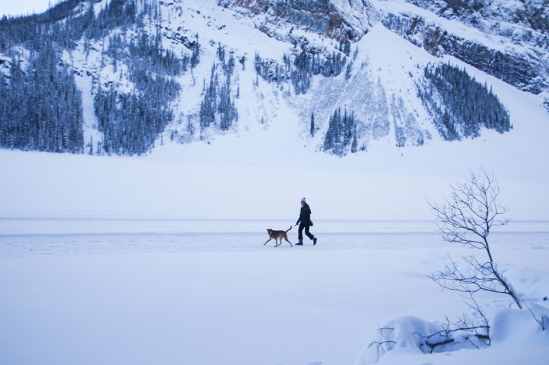 레이크루이스 겨울 액티비티, 호수위를 달리는 말썰매