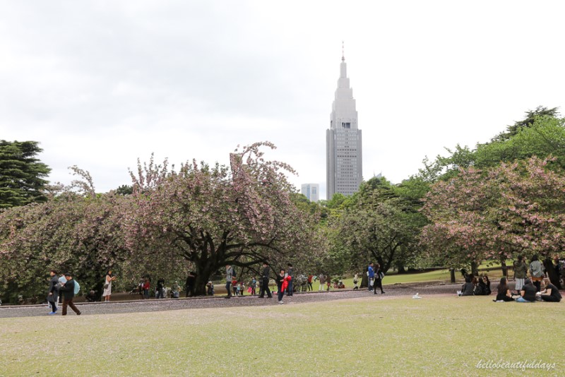 도쿄 자유여행 성공적! 4월 날씨 정보 공유해요~