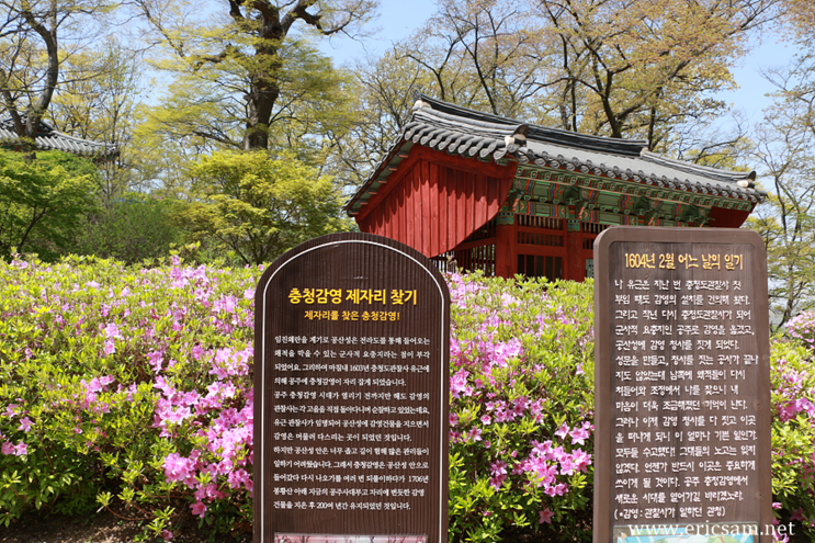 공주 공산성 한바퀴 돌기 " 끝도없어요 " 