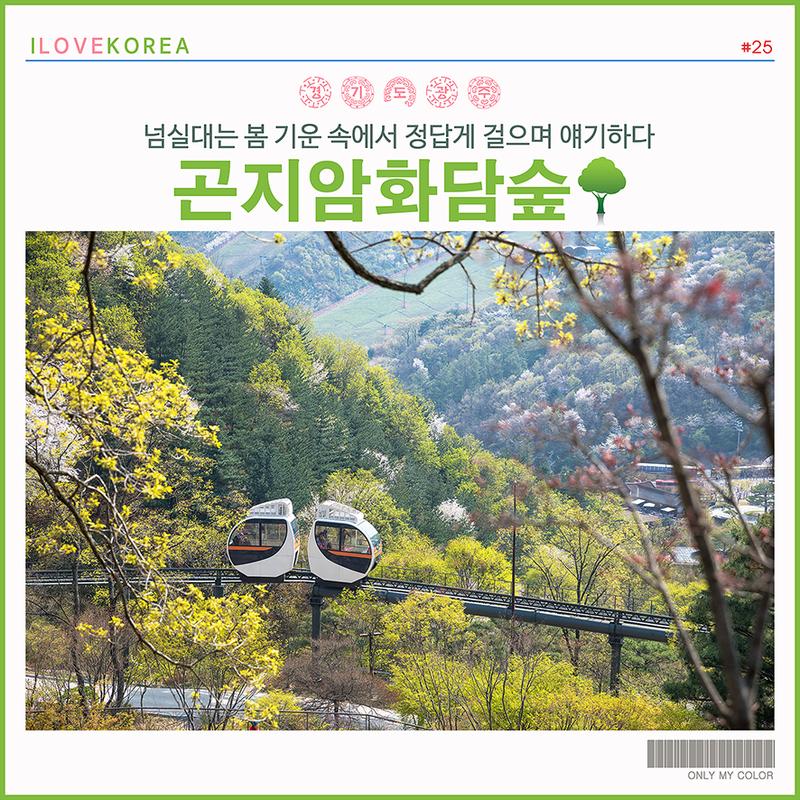 서울 근교 여행 곤지암리조트 화담숲 산책