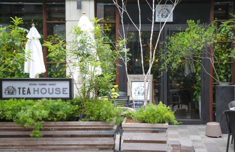 도쿄 자유여행 나만알고싶은 도쿄카페 아카사카 Tea House