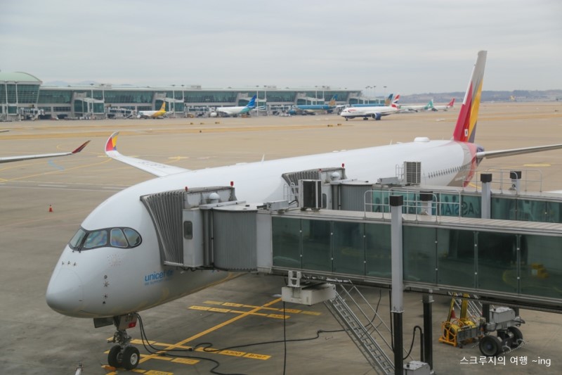후쿠오카 자유여행 아시아나항공 기내식