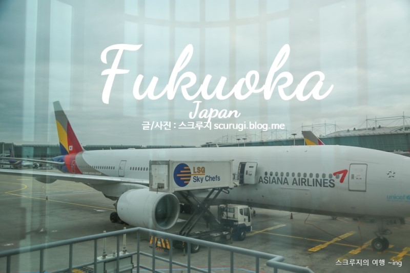 후쿠오카 자유여행 아시아나항공 기내식