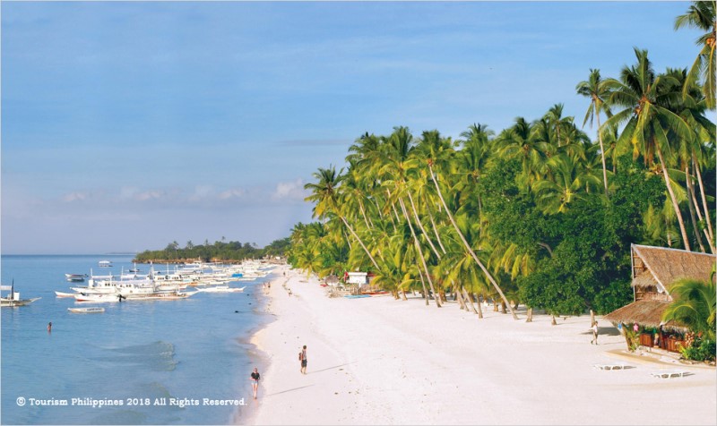 필리핀 보홀여행 아름다운 섬 보홀의 매력