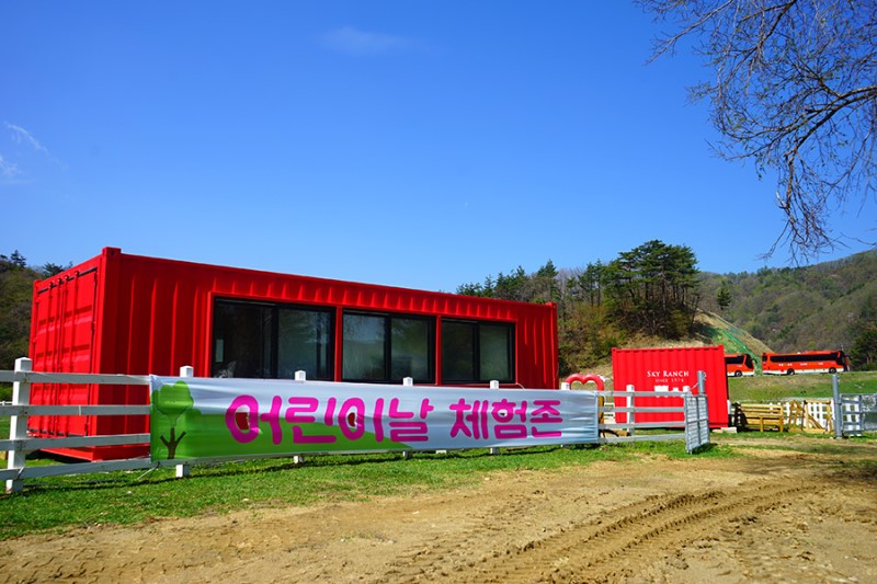 담양 대나무축제 2018 행사기간, 볼거리 & 먹거리