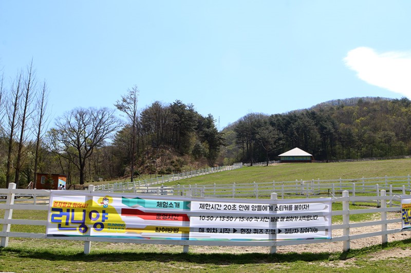 담양 대나무축제 2018 행사기간, 볼거리 & 먹거리