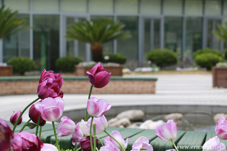 신구대 식물원 ' 꽃과 바람의 노래 '