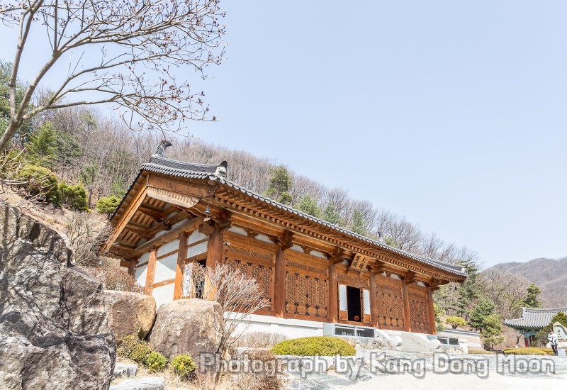 국내 당일치기 여행 용인 가볼만한곳 와우정사