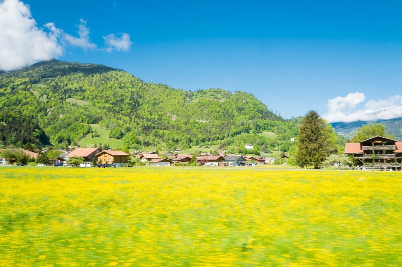 스위스 신혼여행 가족여행이라면 필수 준비물 와이파이도시락 사용후기 및 할인예약방법