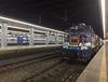 (체험) 2018.05.13 남도해양관광열차 (S-train)